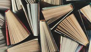 Demonstrativpronomen – dieser, diese, dieses.