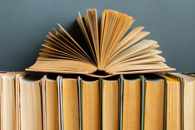 Literatur in Deutschland